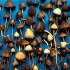 Psilocybin mushrooms effects