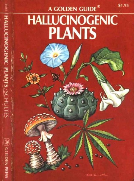 What are Hallucinogens?
